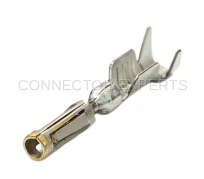 Connector Experts - Normal Order - TERM216A