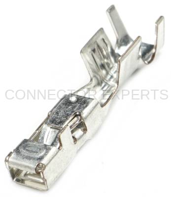 Connector Experts - Normal Order - TERM1B