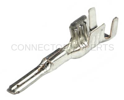 Connector Experts - Normal Order - TERM44