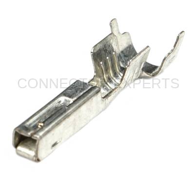 Connector Experts - Normal Order - TERM42D
