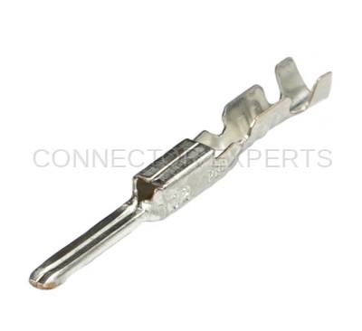 Connector Experts - Normal Order - TERM31B