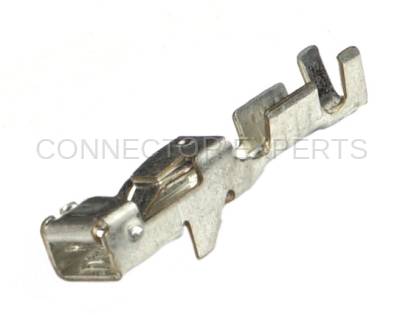 Connector Experts - Normal Order - TERM1C