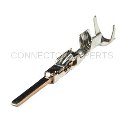 Connector Experts - Normal Order - TERM145B