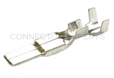 Connector Experts - Normal Order - TERM506A