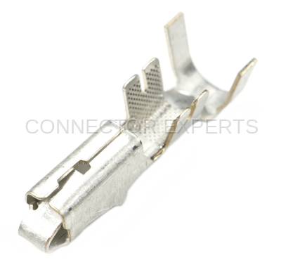 Connector Experts - Normal Order - TERM8B