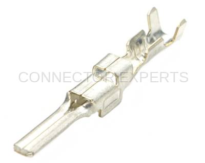 Connector Experts - Normal Order - TERM419