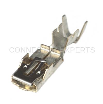 Connector Experts - Normal Order - TERM163B
