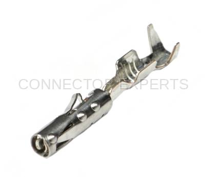 Connector Experts - Normal Order - TERM203B