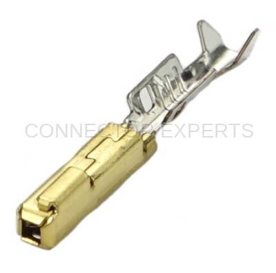 Connector Experts - Normal Order - TERM74
