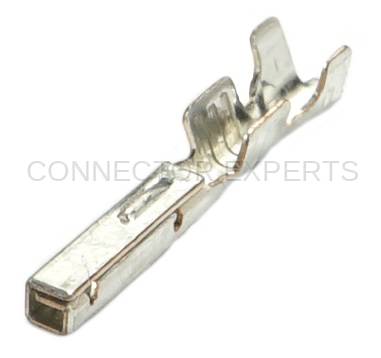 Connector Experts - Normal Order - TERM538