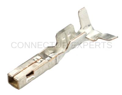 Connector Experts - Normal Order - TERM100B