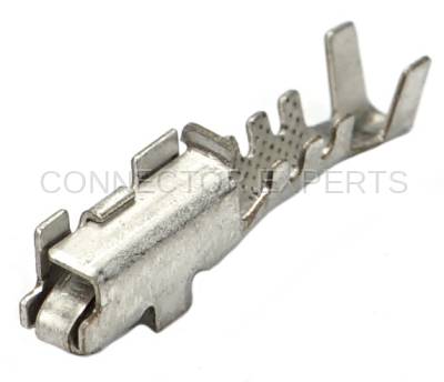 Connector Experts - Normal Order - TERM13B