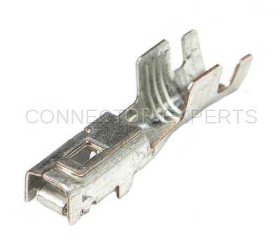 Connector Experts - Normal Order - TERM105D