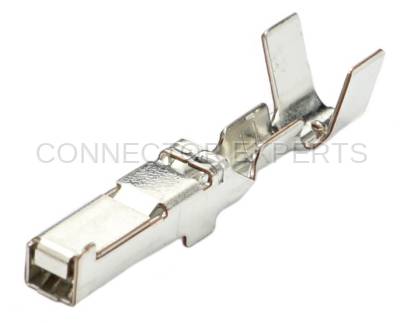 Connector Experts - Normal Order - TERM484B