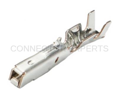 Connector Experts - Normal Order - TERM545