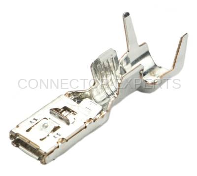 Connector Experts - Normal Order - TERM536