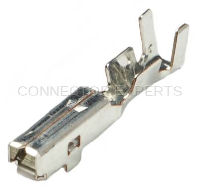 Connector Experts - Normal Order - TERM535