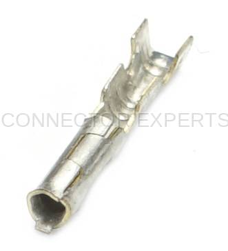 Connector Experts - Normal Order - TERM231