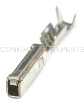 Connector Experts - Normal Order - TERM196
