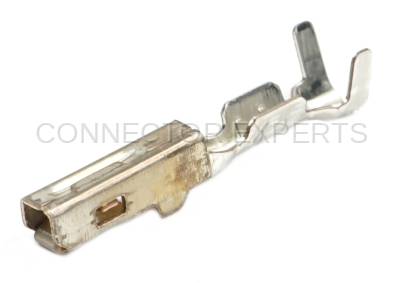 Connector Experts - Normal Order - TERM32F