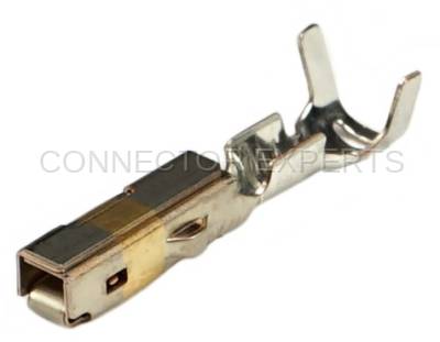 Connector Experts - Normal Order - TERM565