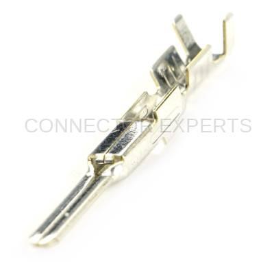 Connector Experts - Normal Order - TERM599B