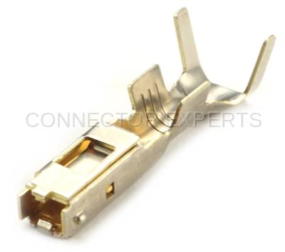 Connector Experts - Normal Order - TERM192B