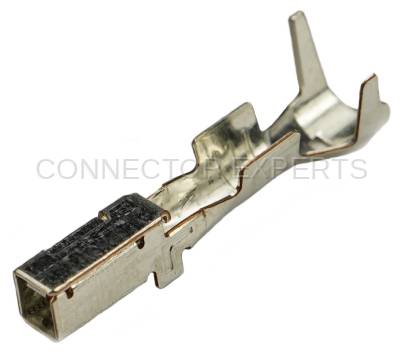 Connector Experts - Normal Order - TERM593B