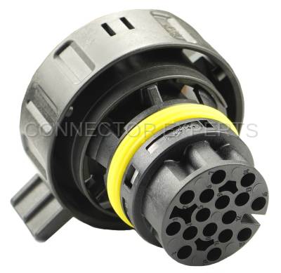Connector Experts - Special Order  - CET1646B