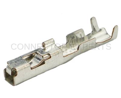 Connector Experts - Normal Order - TERM618B
