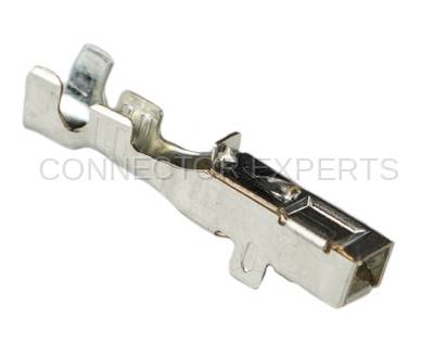Connector Experts - Normal Order - TERM649