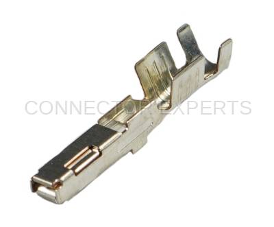 Connector Experts - Normal Order - TERM651C