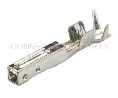Connector Experts - Normal Order - TERM345C