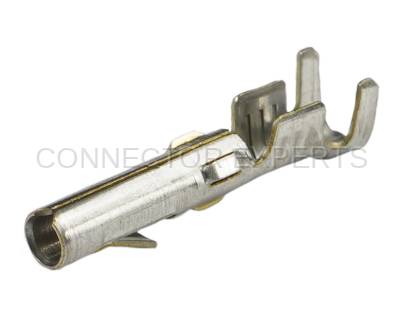 Connector Experts - Normal Order - TERM704