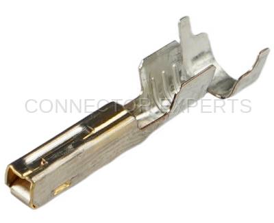 Connector Experts - Normal Order - TERM42G