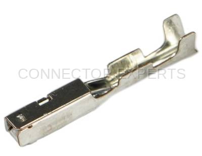 Connector Experts - Normal Order - TERM176