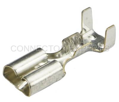 Connector Experts - Normal Order - TERM725B