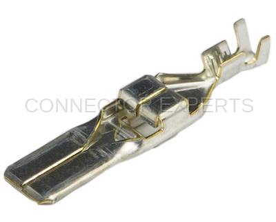 Connector Experts - Normal Order - TERM759