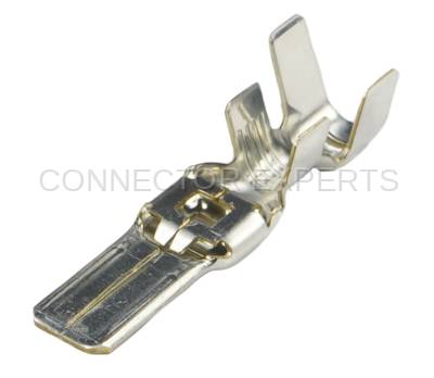 Connector Experts - Normal Order - TERM385