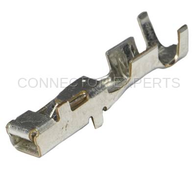 Connector Experts - Normal Order - TERM1H2
