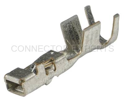 Connector Experts - Normal Order - TERM1B3