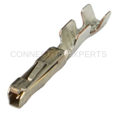 Connector Experts - Normal Order - TERM119C