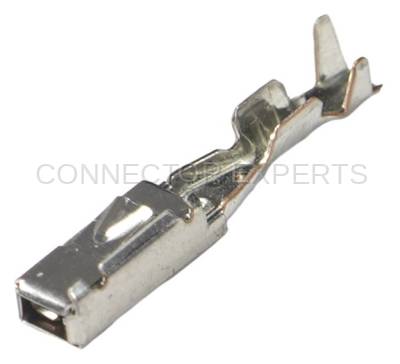 Connector Experts - Normal Order - TERM781