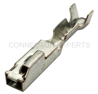 Connector Experts - Normal Order - TERM644