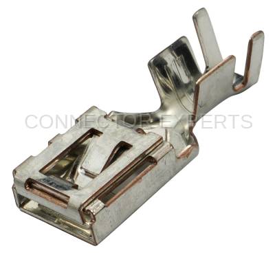 Connector Experts - Normal Order - TERM1106