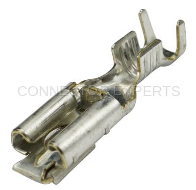 Connector Experts - Normal Order - TERM1109