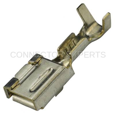 Connector Experts - Normal Order - TERM495B