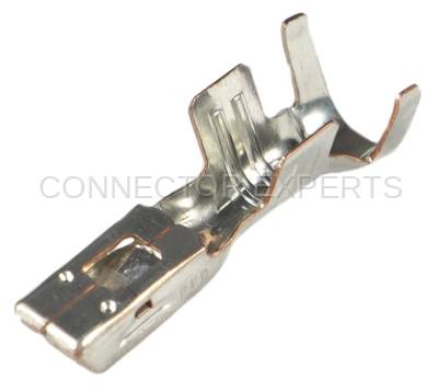 Connector Experts - Normal Order - TERM128F2