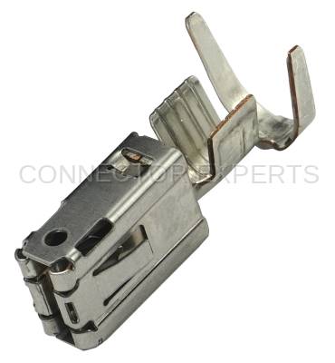 Connector Experts - Normal Order - TERM2009A