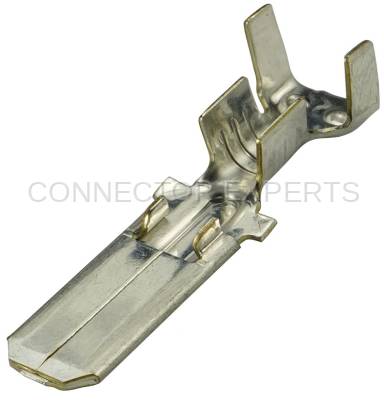 Connector Experts - Normal Order - TERM2059A